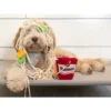 Dog Toys - Snuffle Noodle Cup Interactive Feeding Toy | Interactive Pet Toy for Dogs