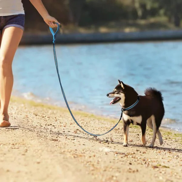 Pet Reflective Safety Leash Large Dog Leash Medium Dog Leash Small Dog Leash Dog Walk Leash | Adjustable Pet Walking & Outdoor Gear for Dogs