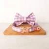 cn-11134207-7qukw-lh69c6n8jh0f48.webp Customized Collar Personalized Cat Collar Kitten Collar Adjustable Anti - lost Adult Cat Bell | Adjustable Pet Walking & Outdoor Gear for Cats
