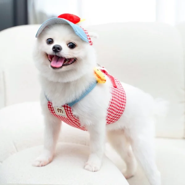Chest Strap Pet Traction Rope Set with Sunshade Hat - Outdoor Wearable for Cats & Dogs | Adjustable Pet Walking & Outdoor Gear for Dogs & Cats