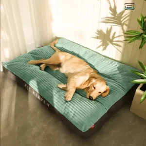 Super Comfy Fully Removable and Washable Pet Bed | Thick and Soft Dog Cat Mattress | Comfortable Pet Bed for Dogs & Cats