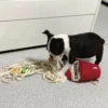 Dog Toys - Snuffle Noodle Cup Interactive Feeding Toy | Interactive Pet Toy for Dogs