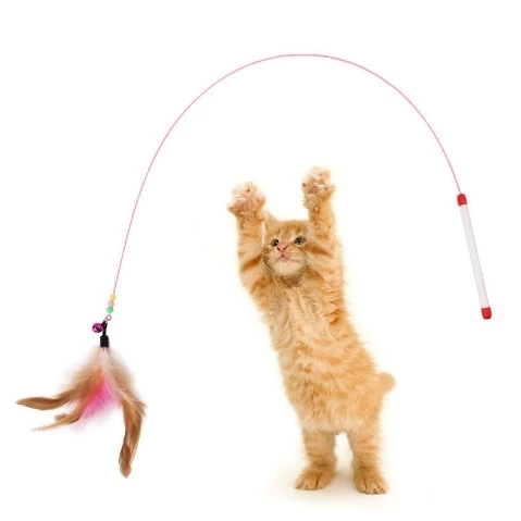 Colorful Feather Bell Cat Teaser Stick Toy | Interactive Pet Toy for Cats