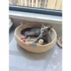 my-11134207-820l8-mmwxzd0d8sn4bc.webp Pet Bed, Rattan Cat Bed, Woven Cat Bed, Woven Pet Bed, Cat Bed, Dog Bed, Cat Scratching Board | Comfortable Pet Bed for Dogs & Cats
