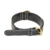 my-11134207-820l9-mo83625mmznp33.webp Premium Top - Grain Cowhide (Single Layer) Dog Collar - Display Unit | Adjustable Pet Walking & Outdoor Gear for Dogs