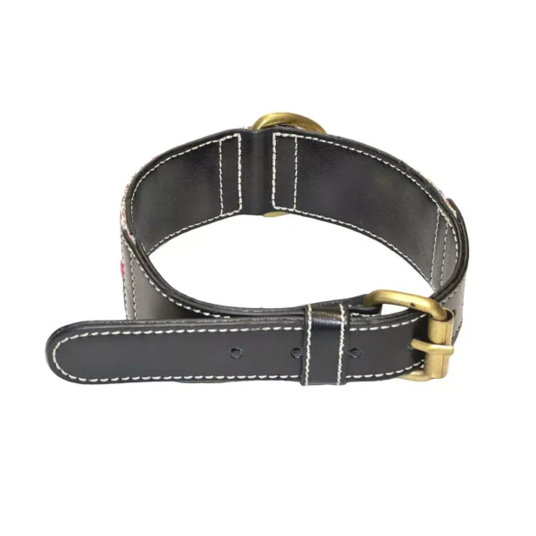 my-11134207-820l9-mo83625mmznp33.webp Premium Top - Grain Cowhide (Single Layer) Dog Collar - Display Unit | Adjustable Pet Walking & Outdoor Gear for Dogs