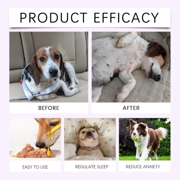 Pets Dogs Cats Sleep Aid Supplement Sleeping Dropper Solutions Natural Pet Sleep Liquid for Promotes Calm Rest Sleep Support | Pet Daily Care Essential for Dogs & Cats