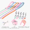Pet Adjustable Collar & Leash Set - Small & Medium Dogs | Adjustable Pet Walking & Outdoor Gear for Dogs