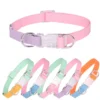 Pet Adjustable Collar & Leash Set - Small & Medium Dogs | Adjustable Pet Walking & Outdoor Gear for Dogs