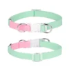 Pet Adjustable Collar & Leash Set - Small & Medium Dogs | Adjustable Pet Walking & Outdoor Gear for Dogs