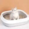 Fast Clumping Tofu Cat Litter - Low Dust, Odor Control Cat Sand (6L) | Clumping Cat Litter & Odor Control