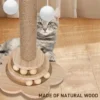 4 - in - 1 Cat Scratching Post with Interactive Toys | Interactive Pet Toy for Cats