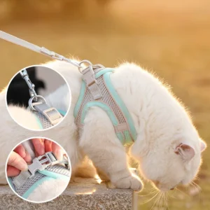 sg-11134201-7rdxj-mc9f3389zk5dbd.webp Cat Traction Rope Anti - breakaway Vest Type Breathable Reflective Pet Chest Strap Small Dog Walking Cat Rope Pet Supplies | Adjustable Pet Walking & Outdoor Gear for Dogs & Cats
