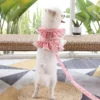 Fresh Cute Pet Floral Chest Strap Lace Traction Rope Teddy Bichon Dog Walking Rope Cat Supplies | Adjustable Pet Walking & Outdoor Gear for Dogs & Cats