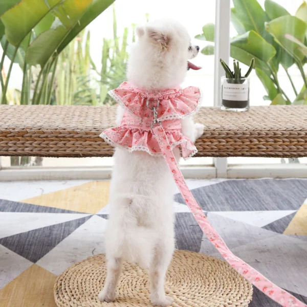 Fresh Cute Pet Floral Chest Strap Lace Traction Rope Teddy Bichon Dog Walking Rope Cat Supplies | Adjustable Pet Walking & Outdoor Gear for Dogs & Cats