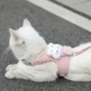sg-11134201-81ztm-mmmvieuqpeki65.webp Adjustable Dog Harness with Leash - Cute Cat Harness Vest for Puppy | Adjustable Pet Walking & Outdoor Gear for Dogs & Cats
