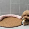Dog Summer Sleeping Mat Cat Mat Pillow Nest Integrated Scratch - Resistant Anti - Slip Cooling Mat | Comfortable Pet Bed for Dogs & Cats