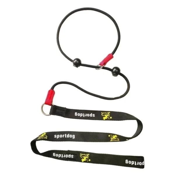 sg-11134201-821e9-mhac3d7x8r2i3a.webp Dog Training P - Leash - Slip Lead Obedience Training Rope | Adjustable Pet Walking & Outdoor Gear for Dogs