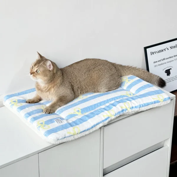 Cat Mat for Sleeping Warm Small Dog Bed Pet Sleeping Mat Four Seasons Universal Cat Bed Mat Floor Mat Dog Bed | Comfortable Pet Bed for Dogs & Cats