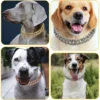 Pet Dog Cuban Chain Collar - Fashion Metal Necklace, Domineering Luxury Dog Collar with Safety Buckle | Adjustable Pet Walking & Outdoor Gear for Dogs