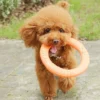 1pc Orange Dog Flying Disc - EVA Interactive Training Ring Puller | Interactive Pet Toy for Dogs