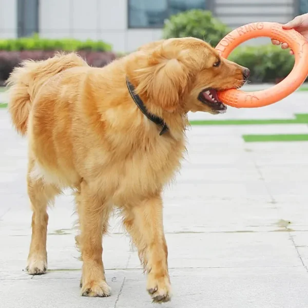 1pc Orange Dog Flying Disc - EVA Interactive Training Ring Puller | Interactive Pet Toy for Dogs