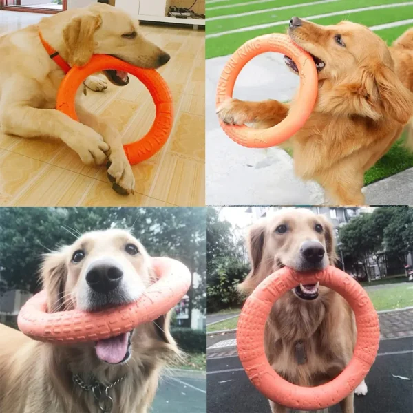 1pc Orange Dog Flying Disc - EVA Interactive Training Ring Puller | Interactive Pet Toy for Dogs