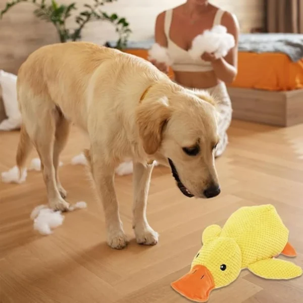 Gaga Duck Plush Dog Toy - Squeaky Quacking Chew Toy | Interactive Pet Toy for Dogs