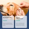 100ml Pet Ear Cleanser for Dogs & Cats - Odor Control | Pet Grooming & Care Supplies for Dogs & Cats