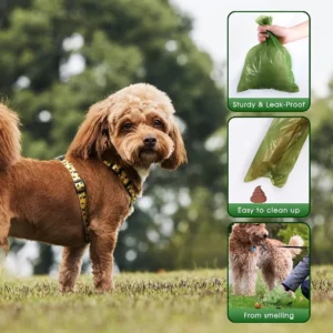 S8fb5537bf2b14d6ba5416c13e1f63cd1Q.webp 10 Rolls Biodegradable Dog Poop Bags - Leak - Proof & Odor Control | Pet Hygiene & Cleaning Supplies for Dogs