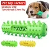 [Random Color] Squeaky Dog Toothbrush Toy | Teething Chew Stick