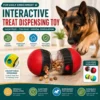 [Random Color] Treat-Dispensing Slow Feeder Dog Ball | Training Toy