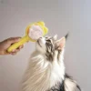 sg-11134201-7rdxn-mdjz6iojuzpm1c.webp Press-to-Remove Loose Hair Pet Massage Comb | Grooming Tool